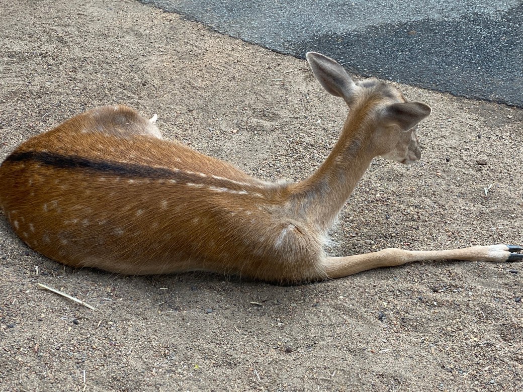 5x+lliCYRVy3l5QS8Z28ag