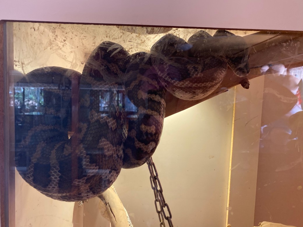 8dNhwfRCTZCyw8BuPPp53w