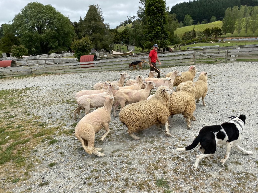 a3FXPQDDRcqsLY9z%JBEAA