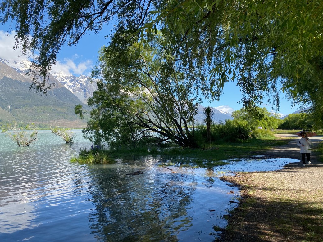 C0VX5yhTRRCcrYRJSMcWrw