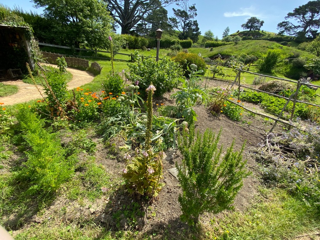 CF2mtjs6SIqM2vRjvZxNBw