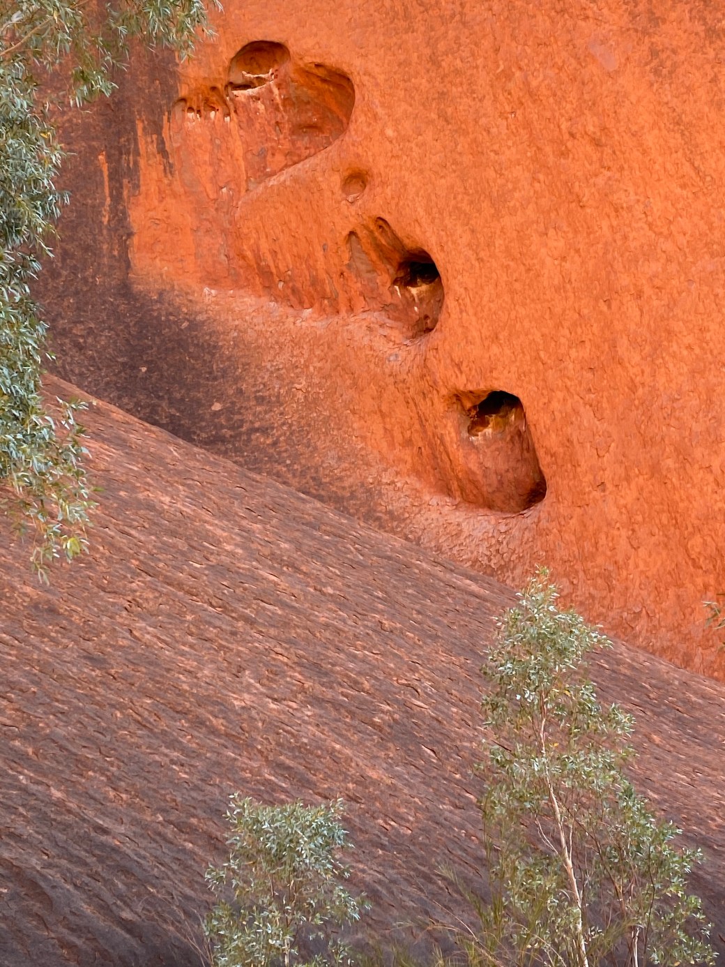 CIZoYDdPTRu3+m4dXXn5mg