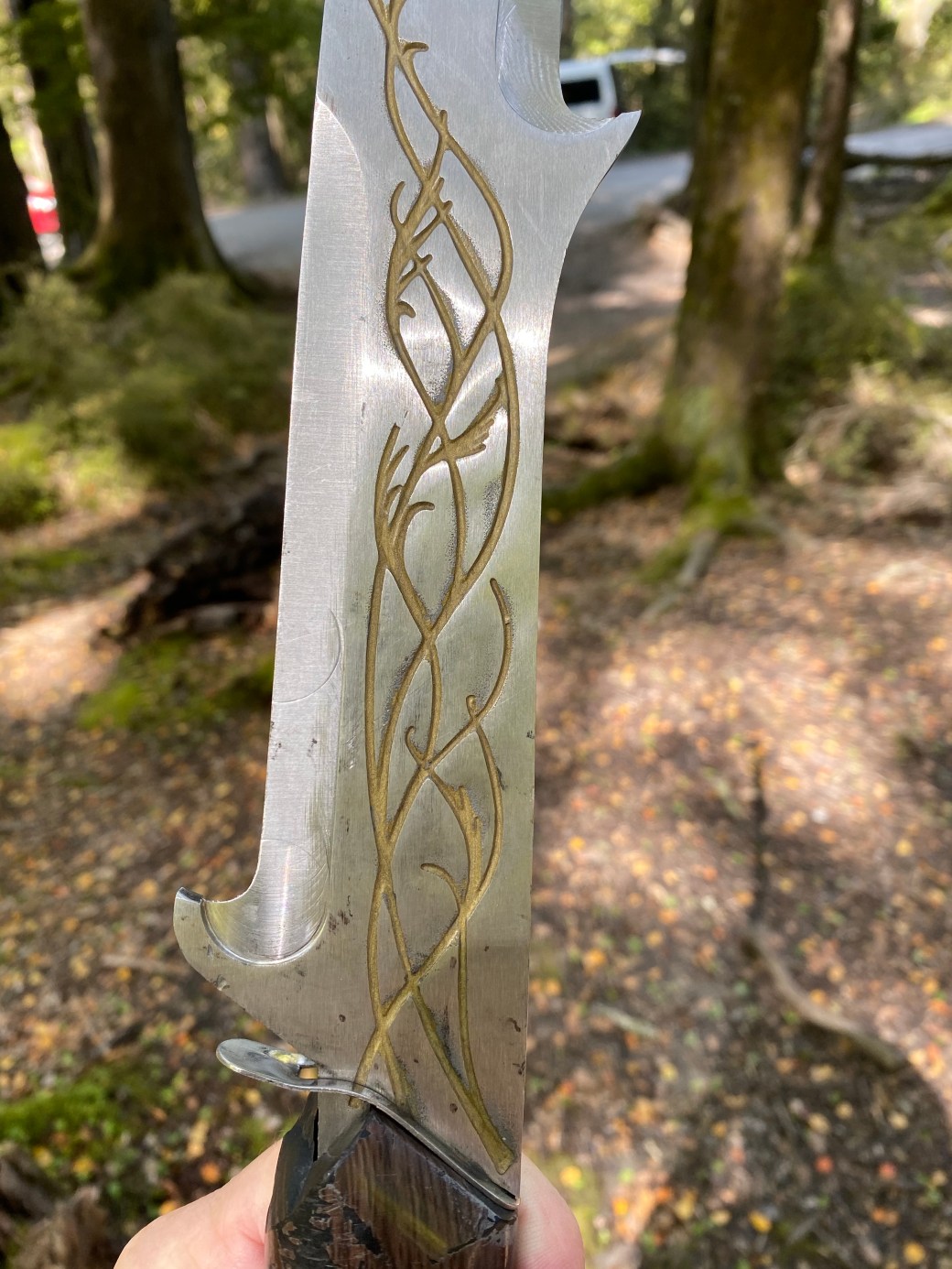 fB3mQWZwQkWerjnrTInP6g