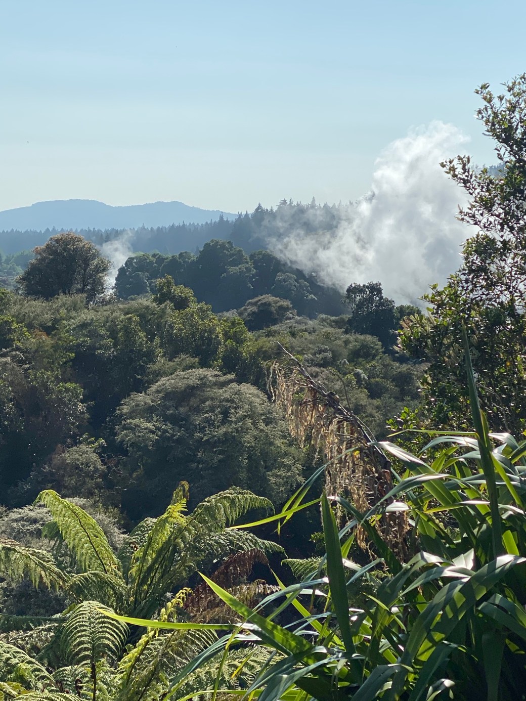 +FIvMjxfQmGvJKNXoTpE5Q