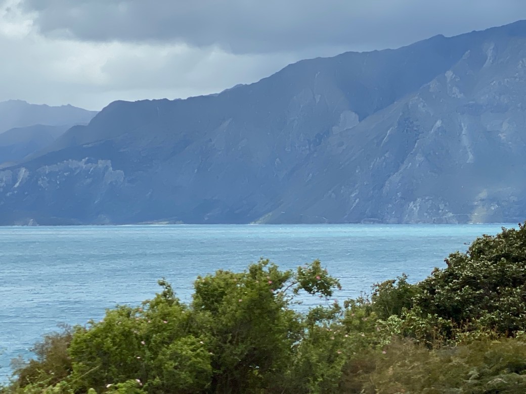 gKooJA8FTEKUGYkWRVVwww