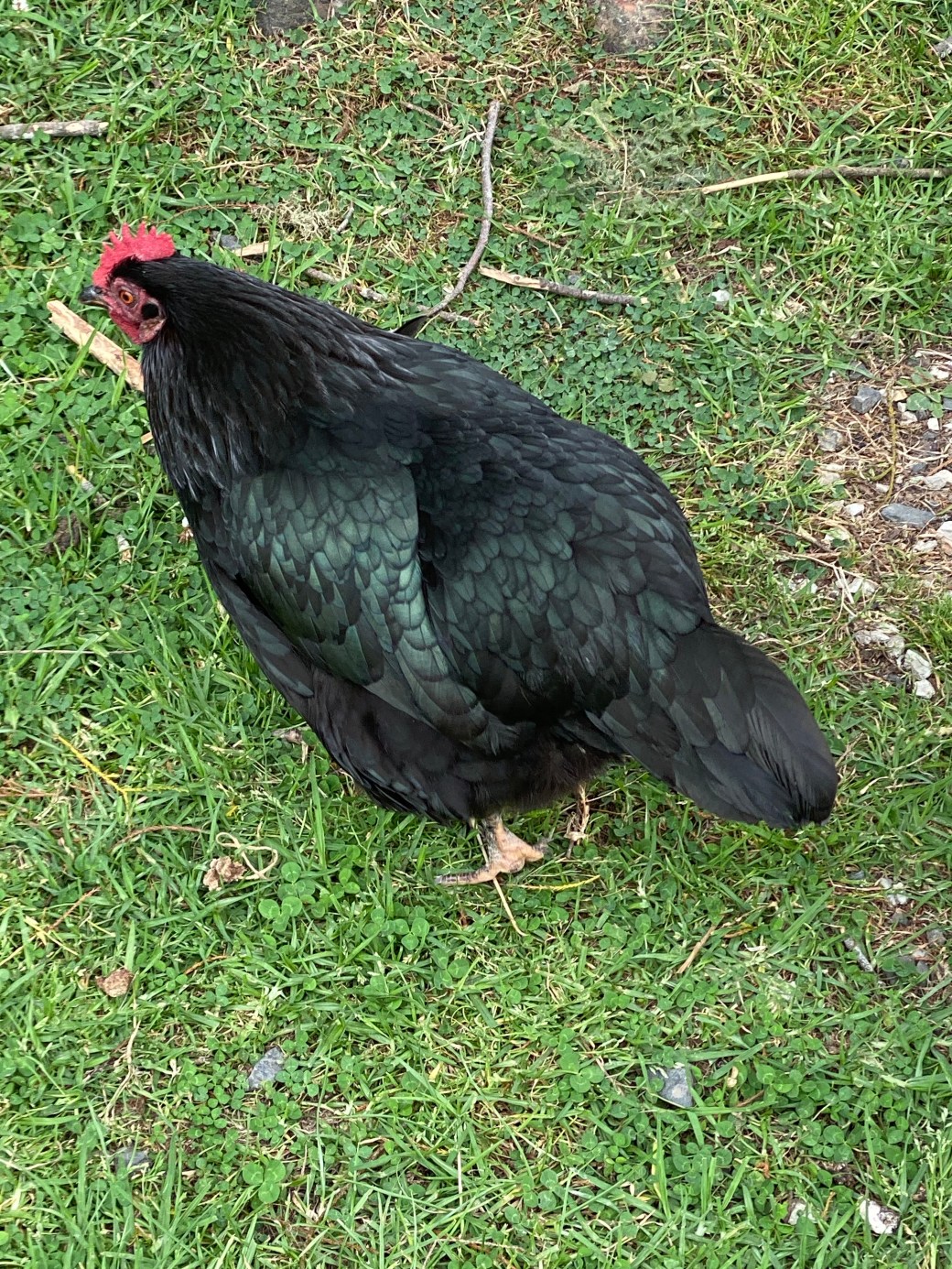 HrBVdYMfSe2mg9i7nGEjWQ