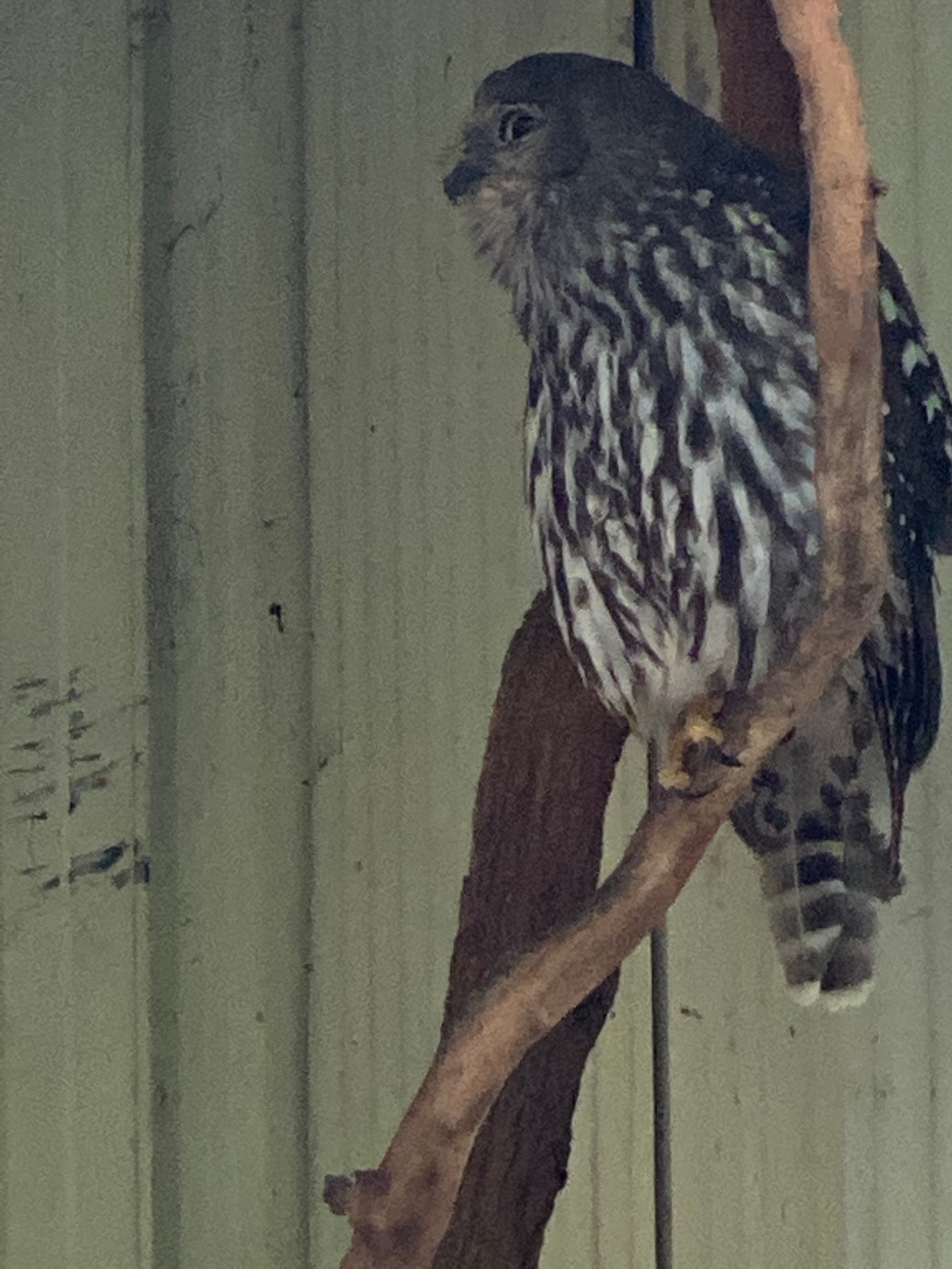 iBJFeZV9TlyFdOhkVNEGjw