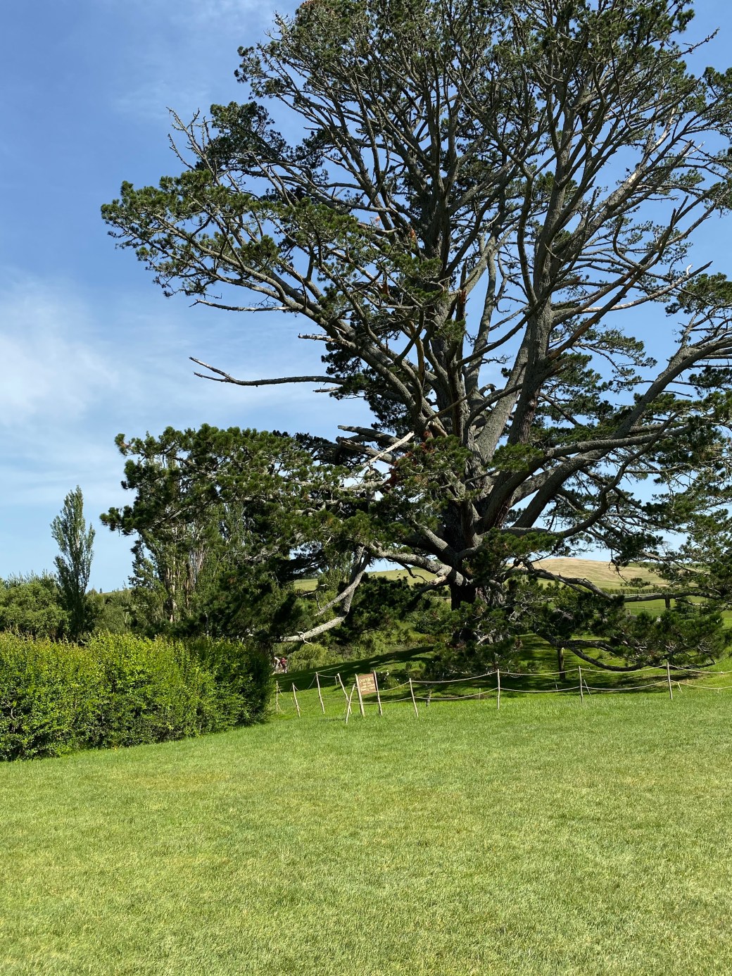 IgVdDrZdS0uS9+9oVsEmEQ