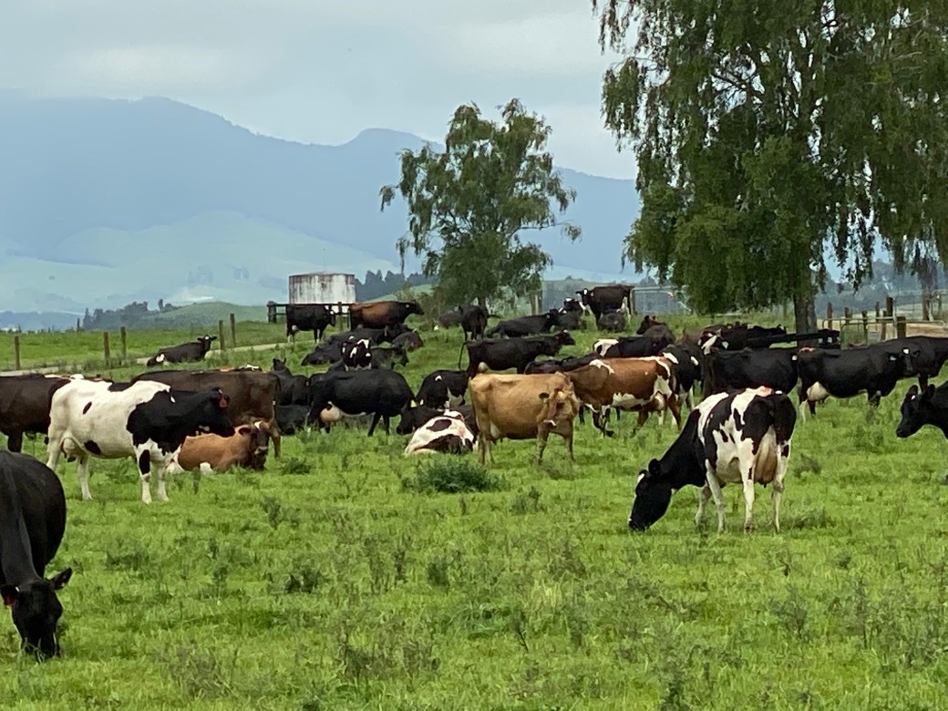 jEsPeaebS4uKNHBDmTfIqQ