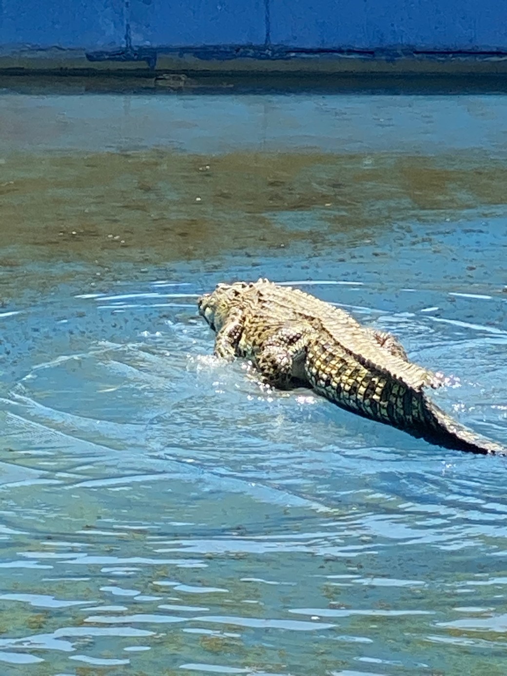 JvvGljYNR3Od37AsCQYzXg