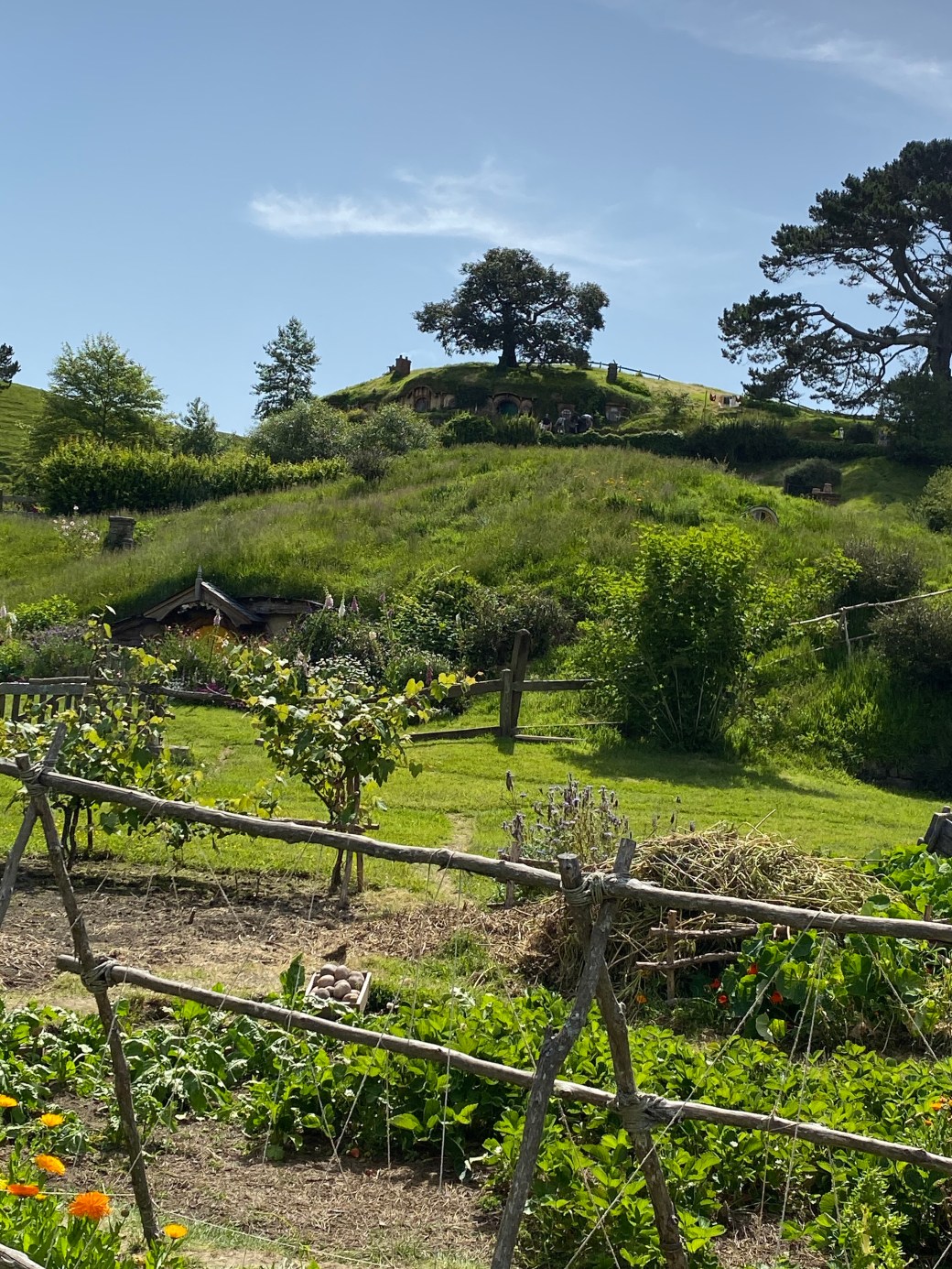 k6kJZsG+QZO50LkV5KPavw