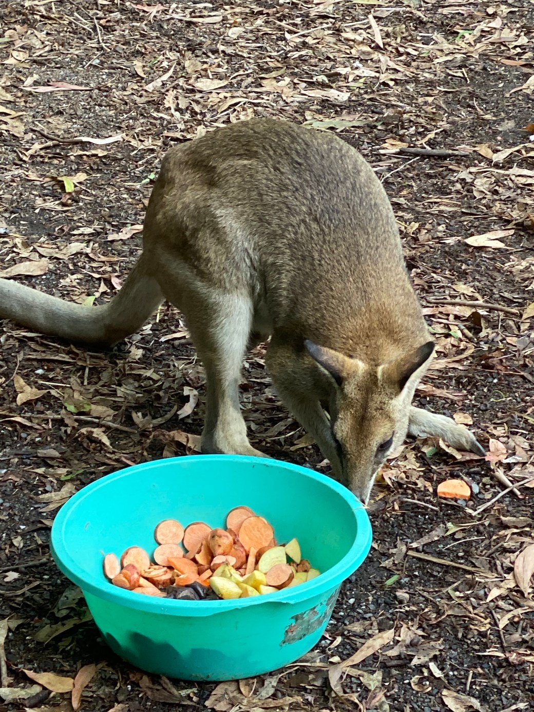 KBJgDc3mSLGJaGAoeGwVMQ