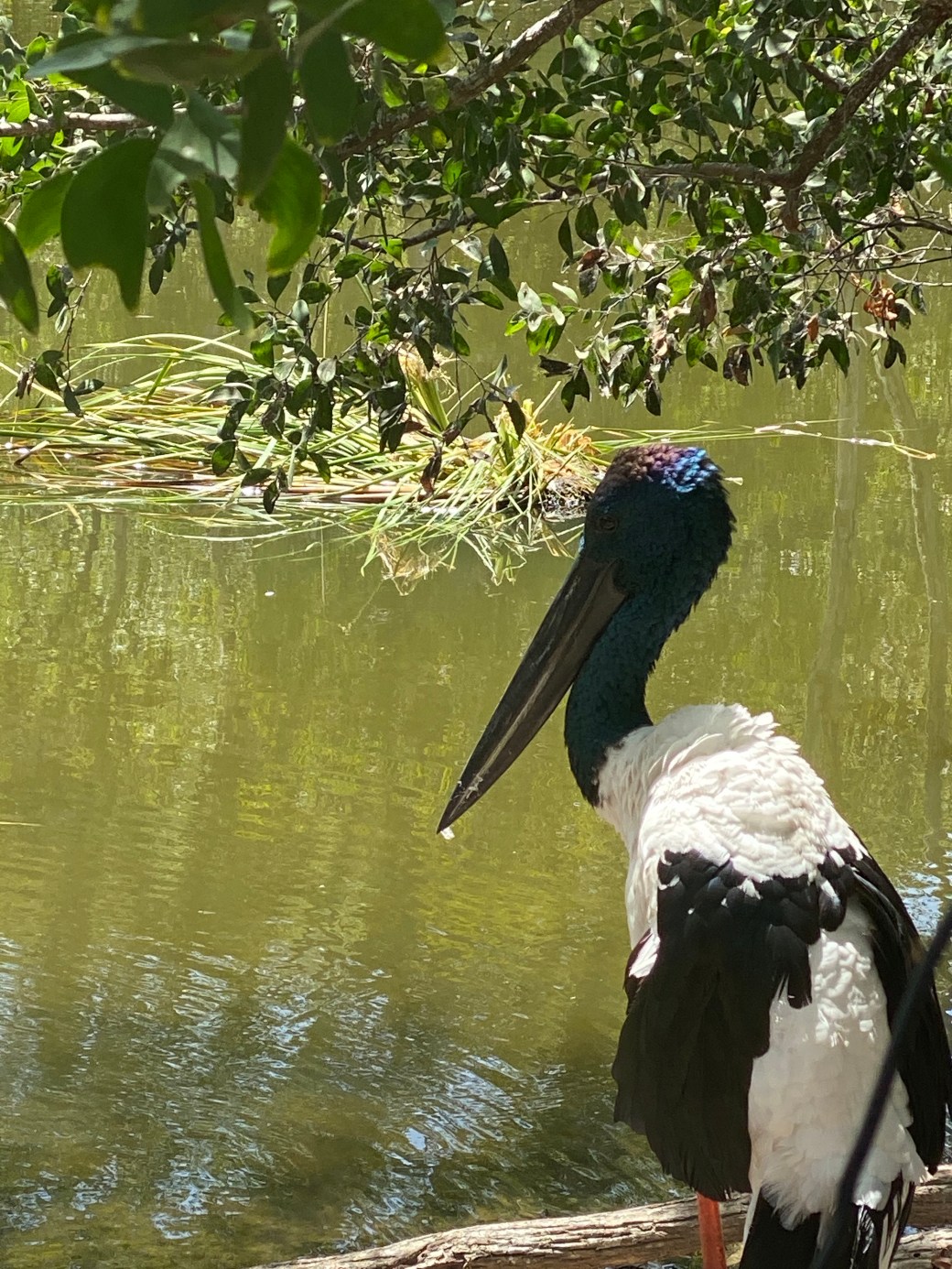 L%YVoDaSSwiVy6%uPDTyVQ