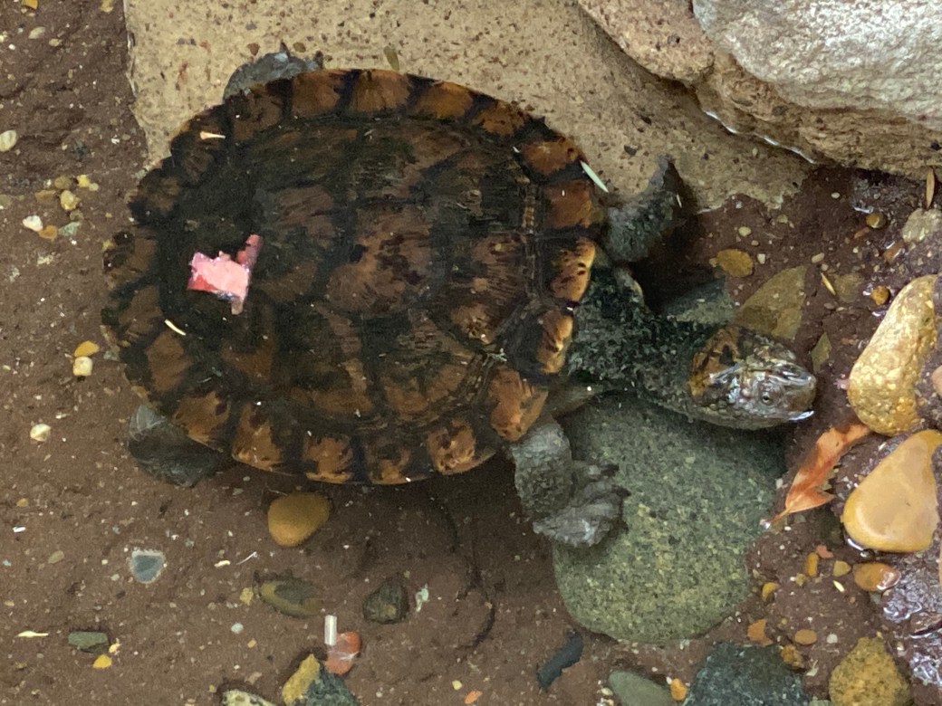 OJqYcpGdRCW4cf8tsl2Tgw