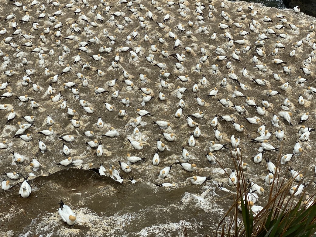 rAnHzhCyRDq8538L6P%INw