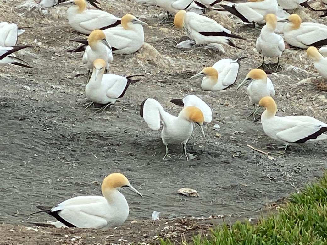 silV03erTVuJKdbYW4S1yg