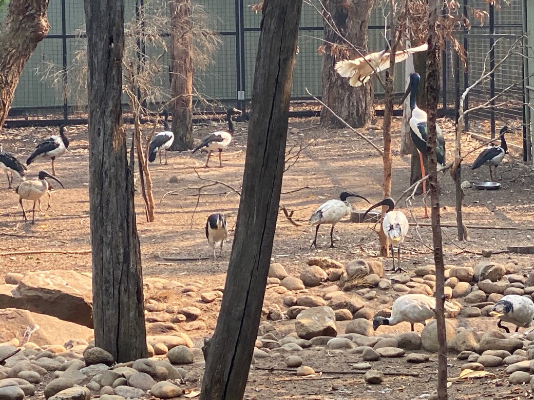 uA67oC7kQJyF1ZQlUX3LvA