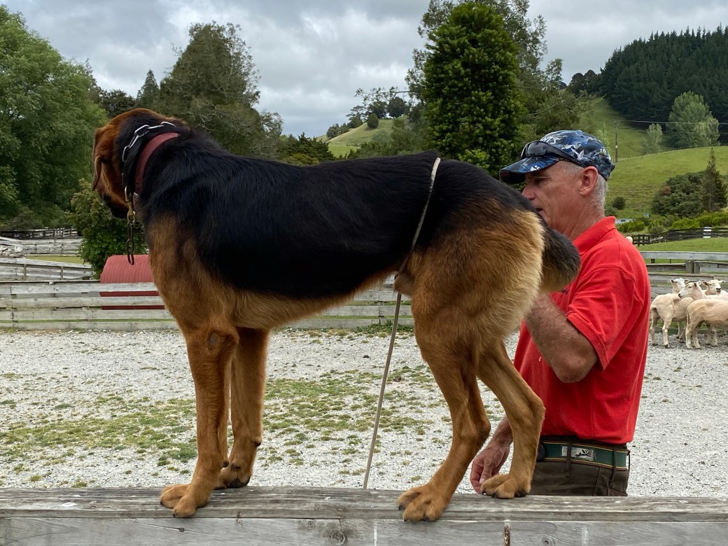 UasfFDP4RXyCkd3dX40y+w