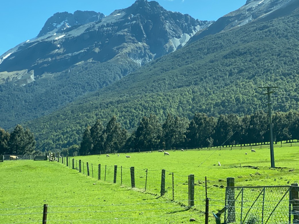 +Wg+4EcjT8608ZMXy06aJw