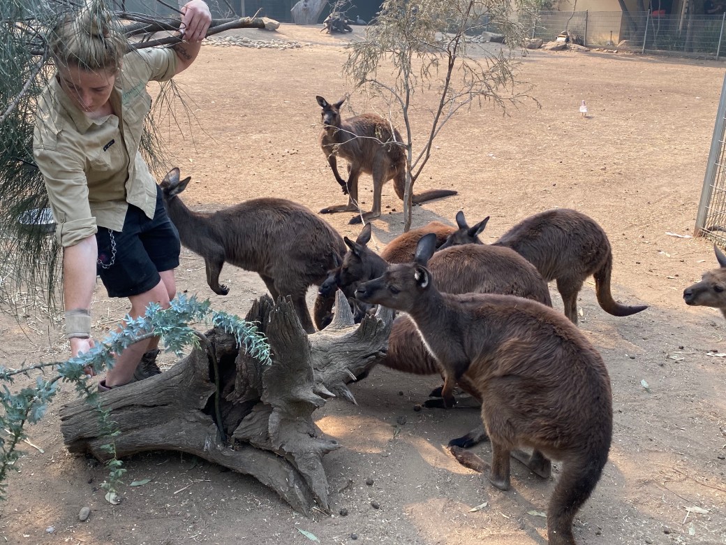 Wu+knXs0RDetPN46OlOGuA