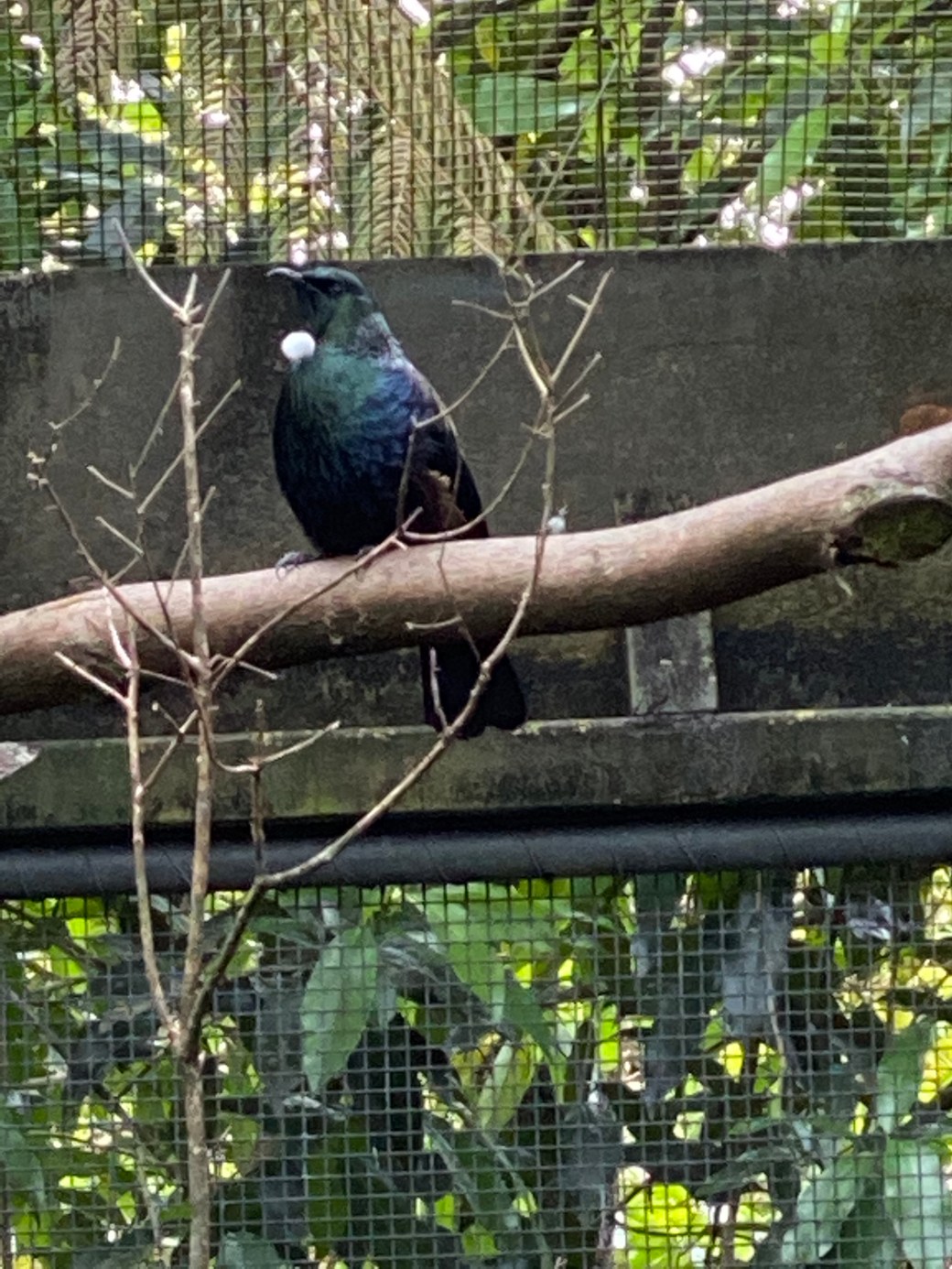 wYhza12oQYa2HUGro+tjfw