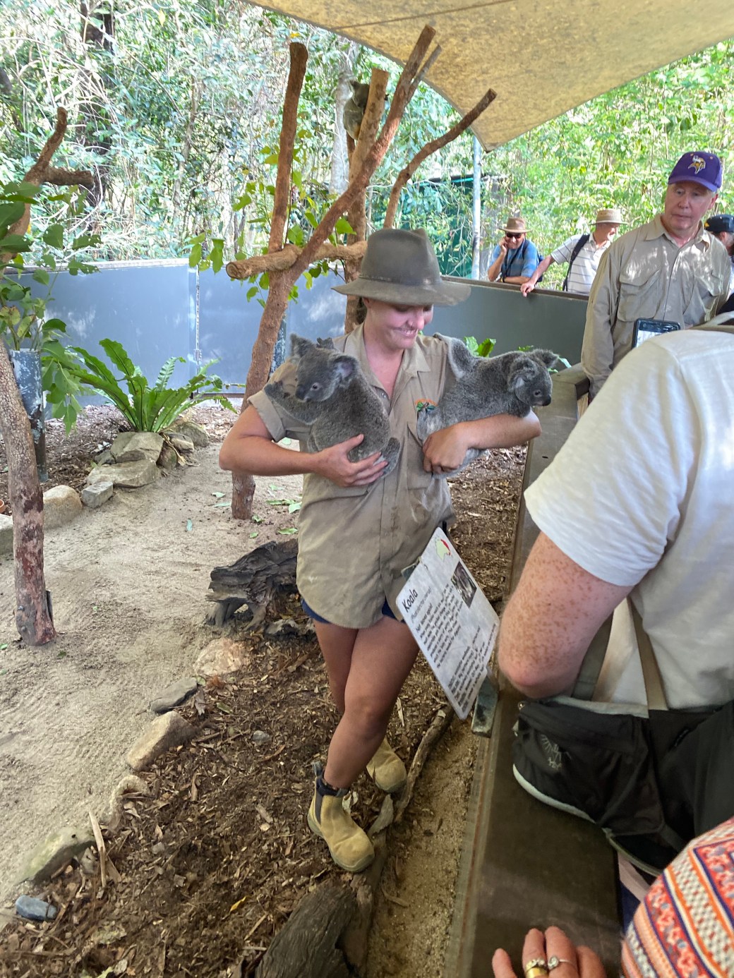 XOyzk6AbToGLxLFJr8KTsg