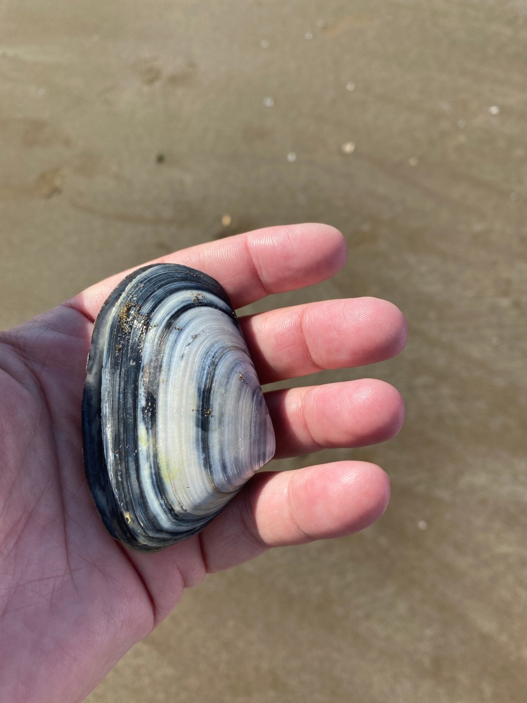 xYeJddipR6eaem7n19WAOQ