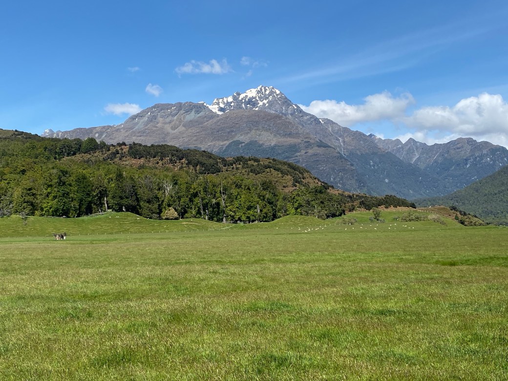 zwrOoisTR7mOcqbDecB9eQ